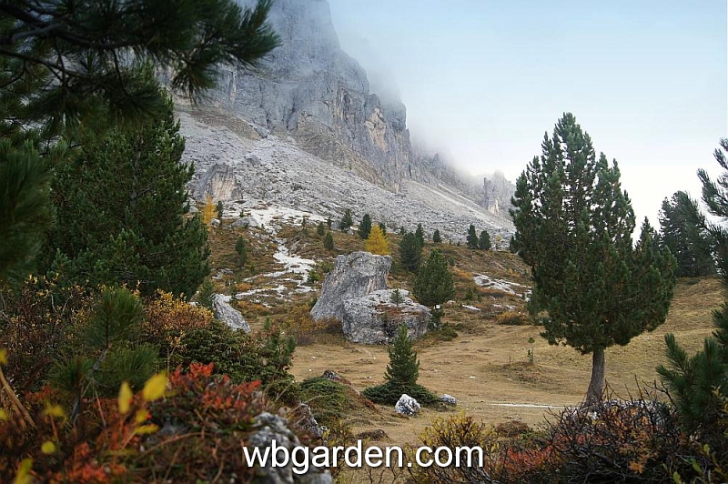 wbgarden alps 70.JPG
